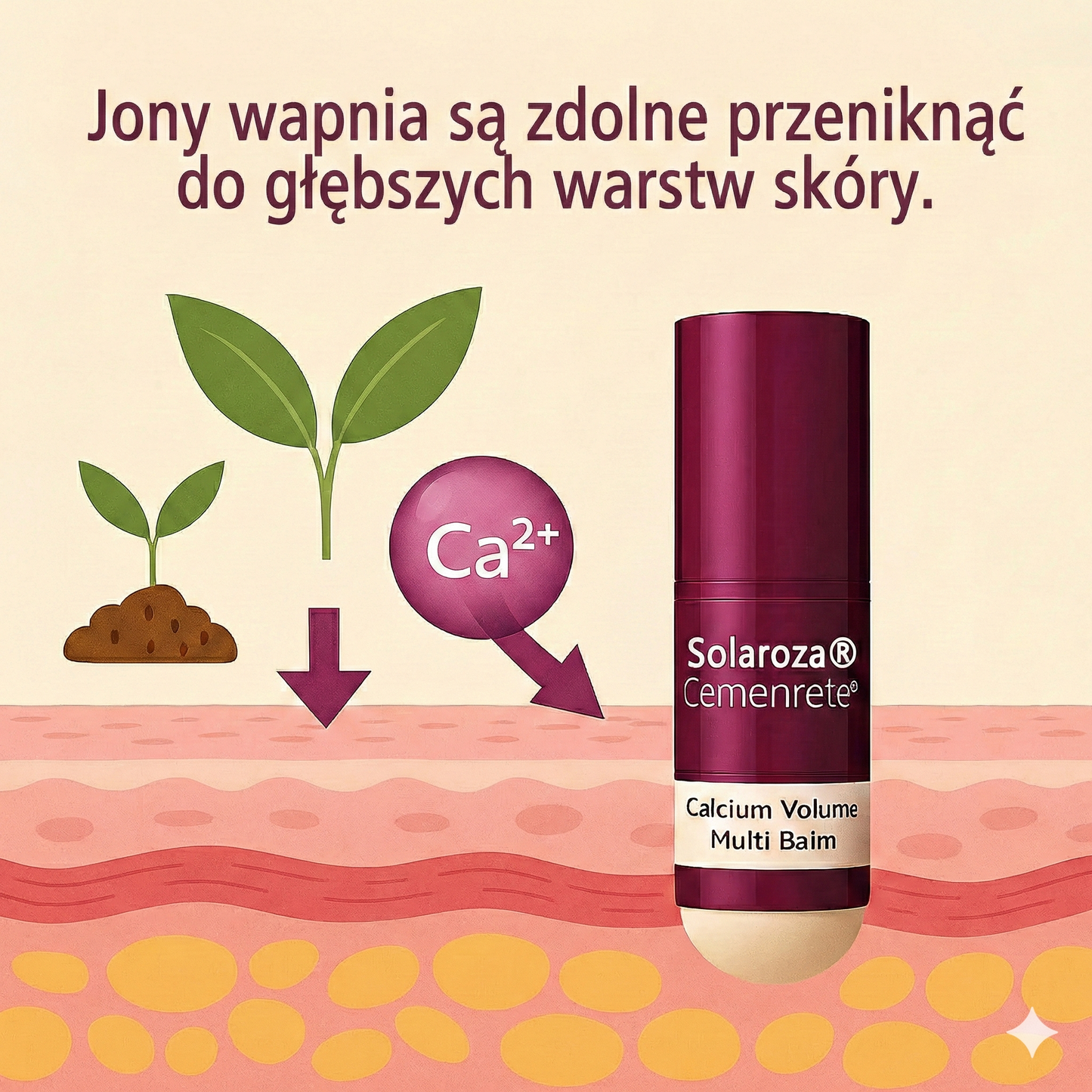 Bestsellerowy krem Solaroza @ Calcium Polycollagen Improvement Cream – zawiera jony wapnia, heksapeptyd-8 oraz ekstrakty z kolagenu roślinnego, które działają na zmarszczki, zapewniając szybką poprawę i 100% efekt przeciwstarzeniowy.