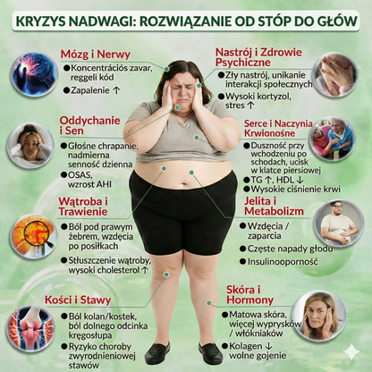 💥Oficjalny sklep ✨| 💯Plastry Solaroza® Premium Nano Needle (raz dziennie, efekty po 7 dniach), odpowiednie do trawienia, redukcji obrzęków, detoksykacji, bezdechu sennego i problemów ze stawami